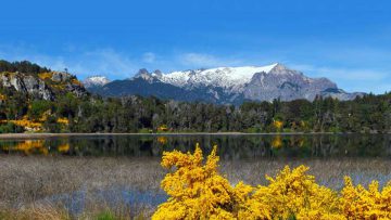 Primaveras argentinas en la Patagonia Andina.