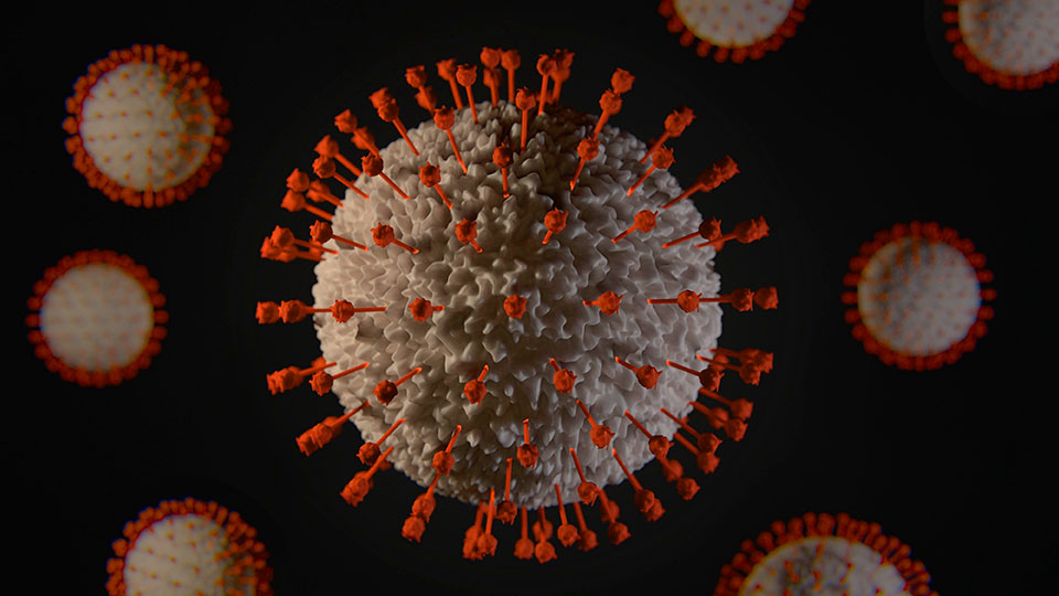Coronavirus en tiempos de Internet: simulación del virus CoV-2.