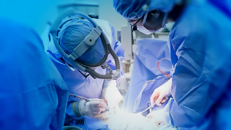 27 de febrero: “Día Internacional del Trasplante de Órganos y Tejidos.