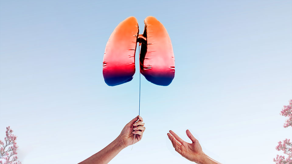 27 de febrero: “Día Internacional del Trasplante de Órganos y Tejidos.